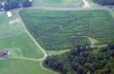 corn acoustics corn maze