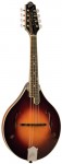 The Loar LM-400 mandolin